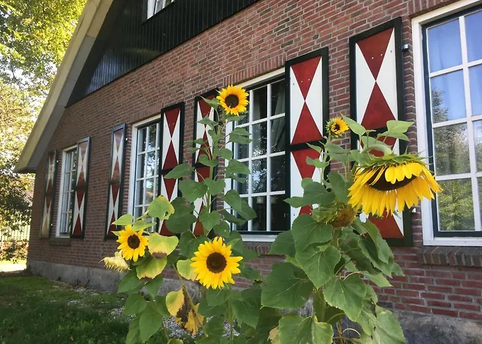 Erve Het Roolvink Boerderij Appartementen 40-50 M2