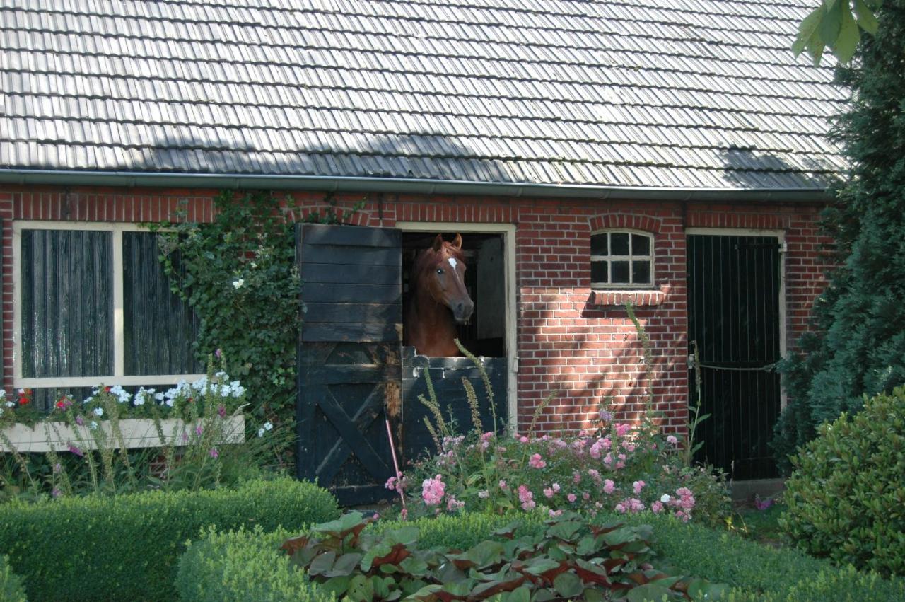 Apartment Erve Het Roolvink Boerderij 40-50 M2 Enschede