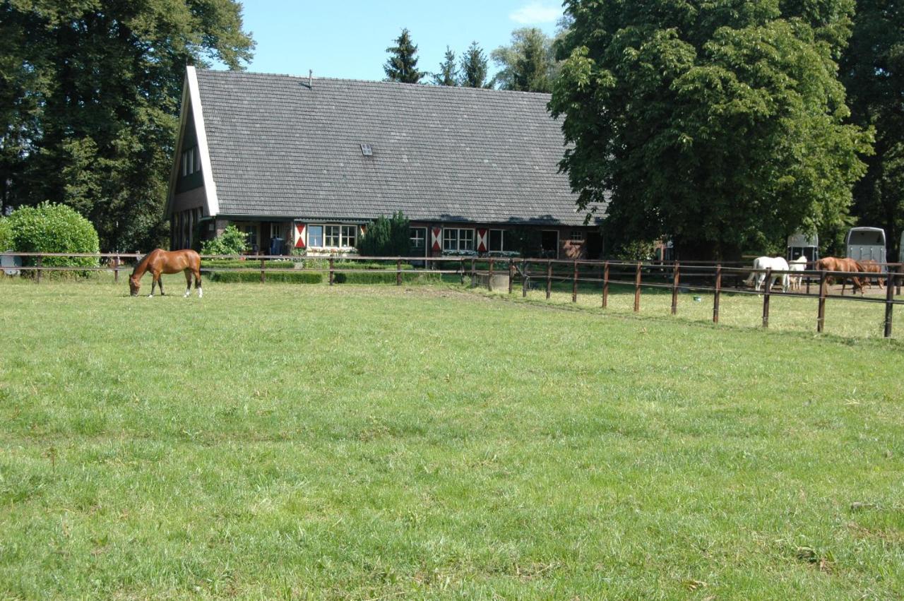 Apartment Erve Het Roolvink Boerderij 40-50 M2 *
