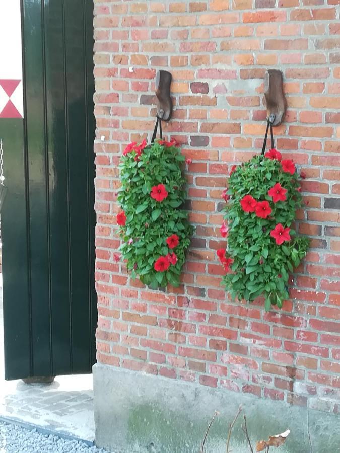 Erve Het Roolvink Boerderij 40-50 M2