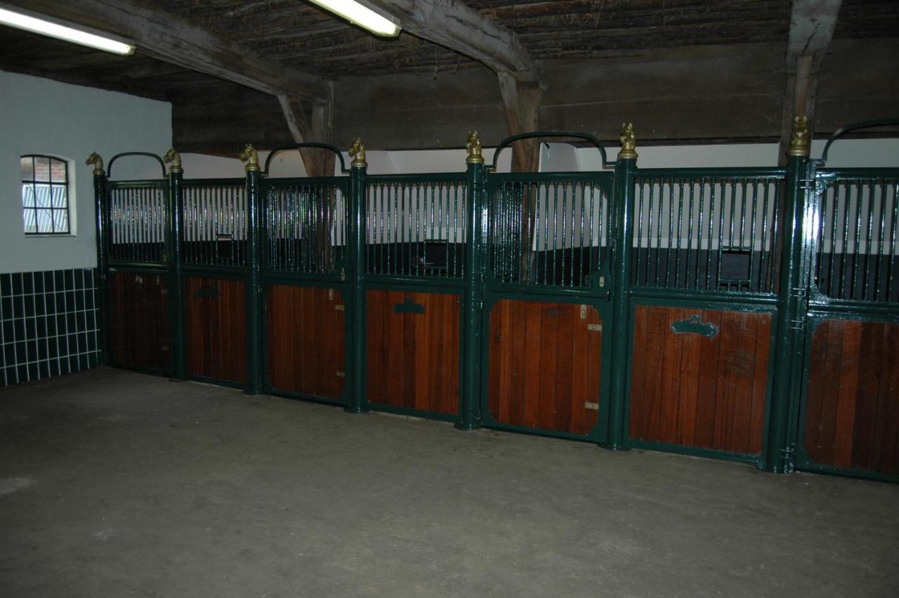 Erve Het Roolvink Boerderij 40-50 M2 *