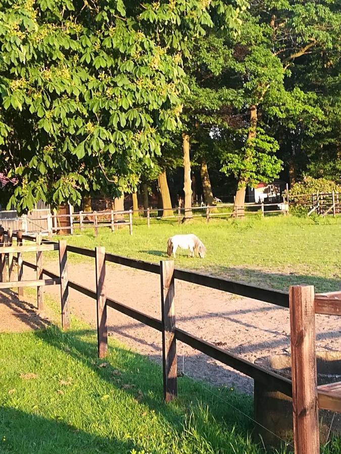Erve Het Roolvink Boerderij 40-50 M2 Apartment *