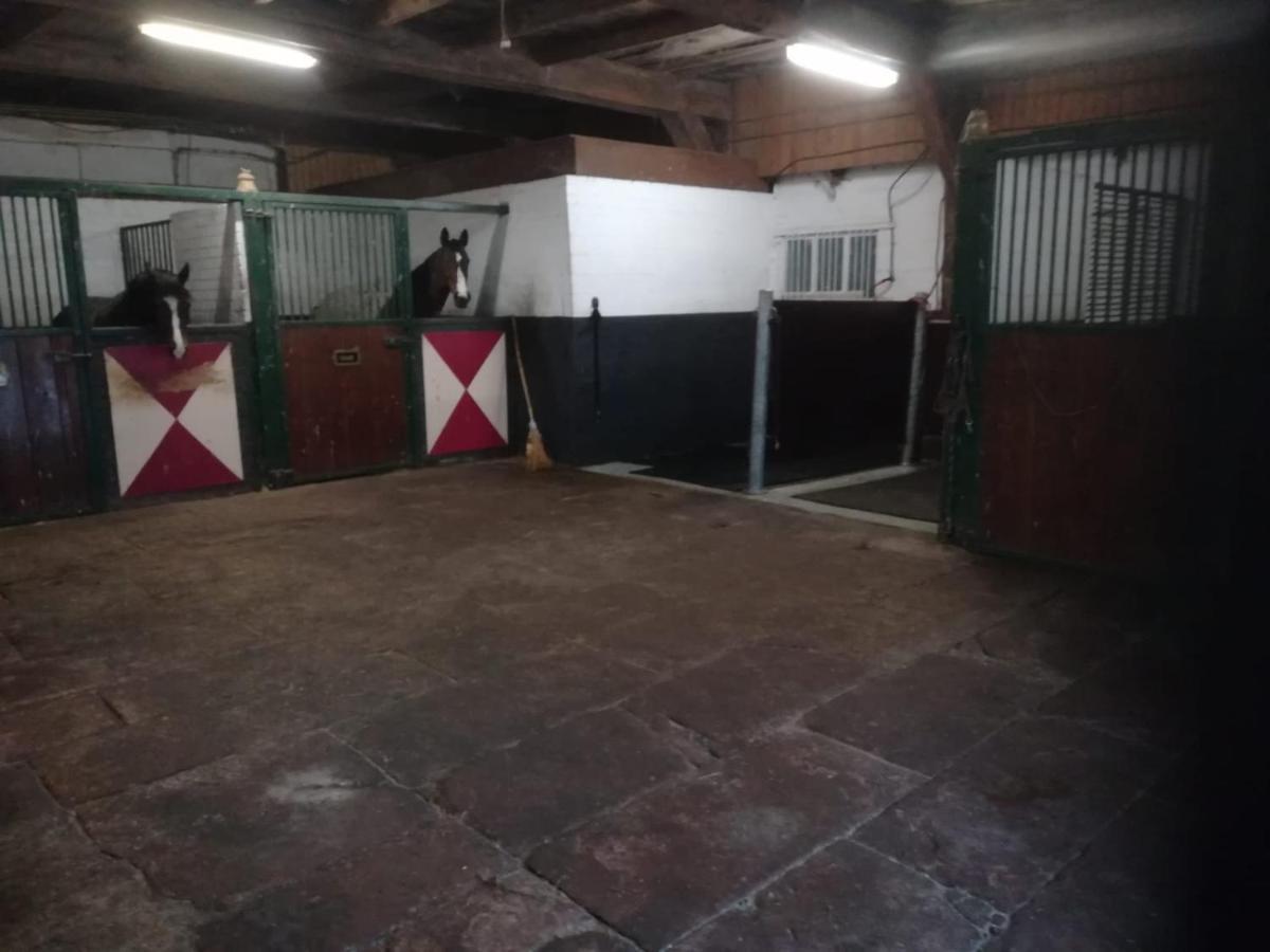 Erve Het Roolvink Boerderij 40-50 M2 Apartment *