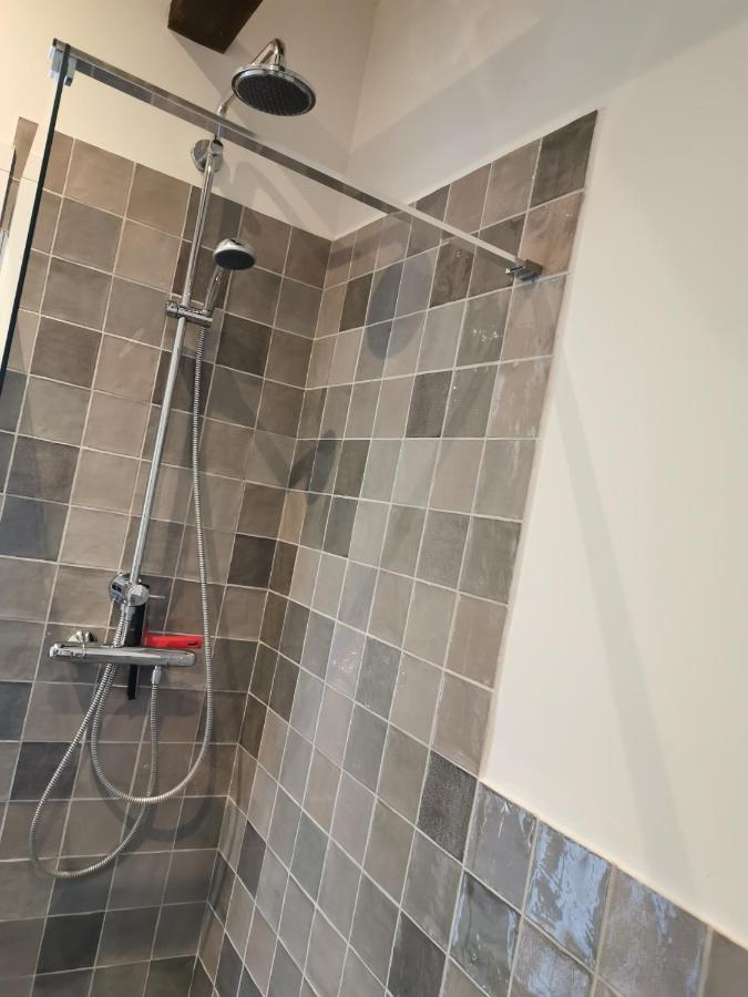 Erve Het Roolvink Boerderij 40-50 M2 *