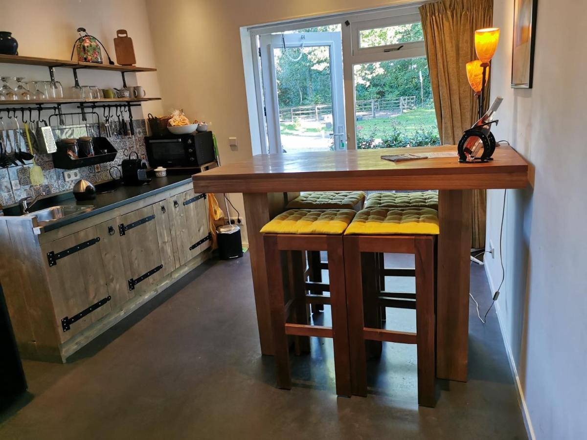Erve Het Roolvink Boerderij 40-50 M2 Apartment Enschede