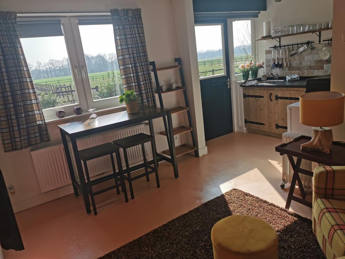 Erve Het Roolvink Boerderij 40-50 M2 Apartment *