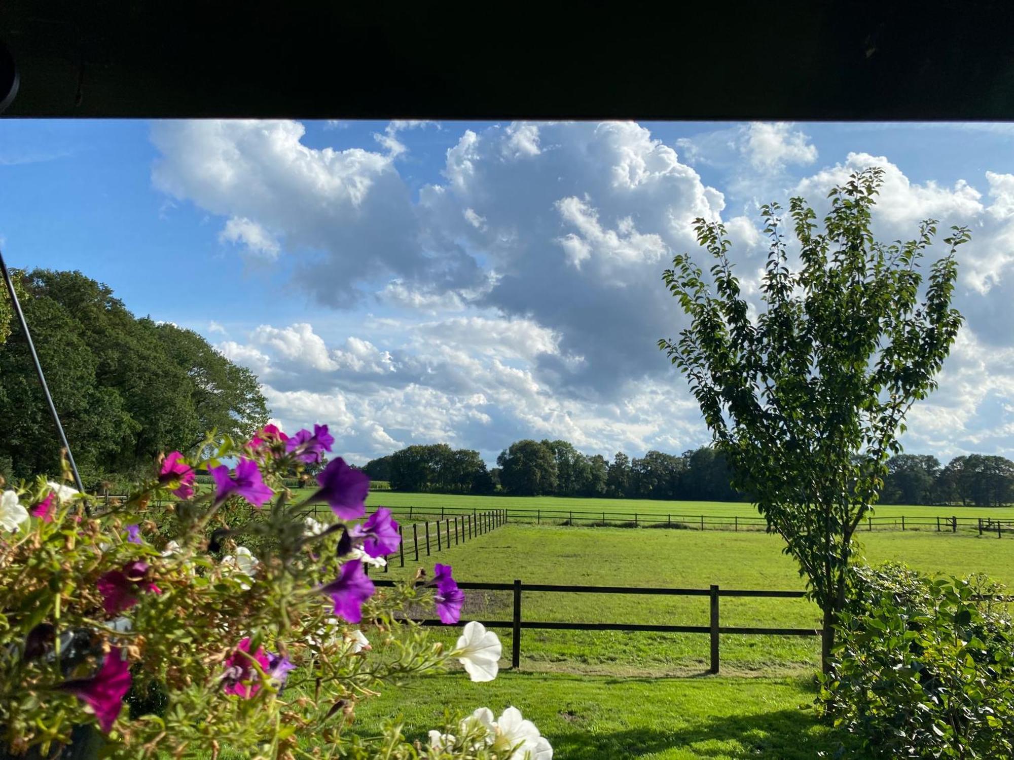 Erve Het Roolvink Boerderij 40-50 M2