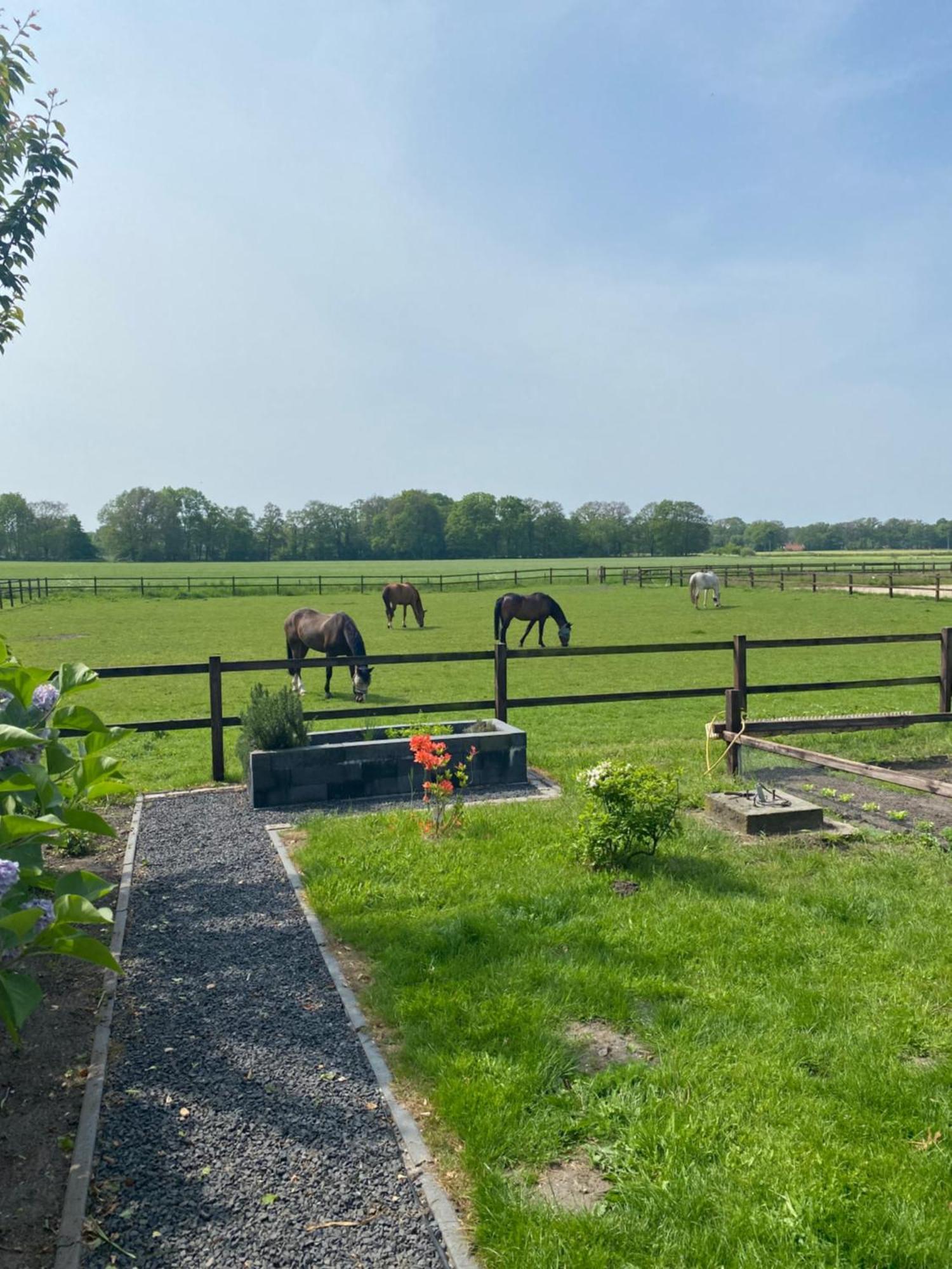 Apartment Erve Het Roolvink Boerderij 40-50 M2 Enschede
