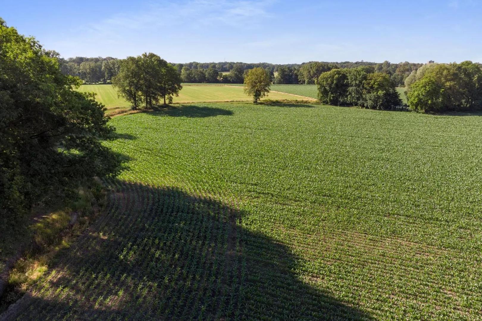 Erve Het Roolvink Boerderij 40-50 M2